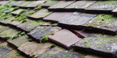 Eynesbury roof repair costs